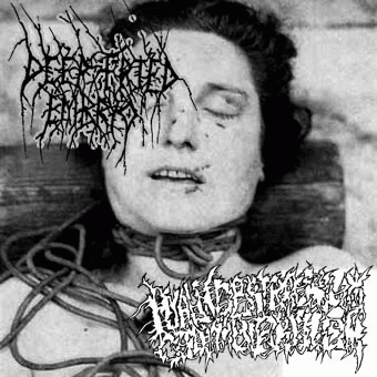 Deep Fried Embryo : Deep Fried Embryo - Hyalinobatrachium Colymbiphyllum